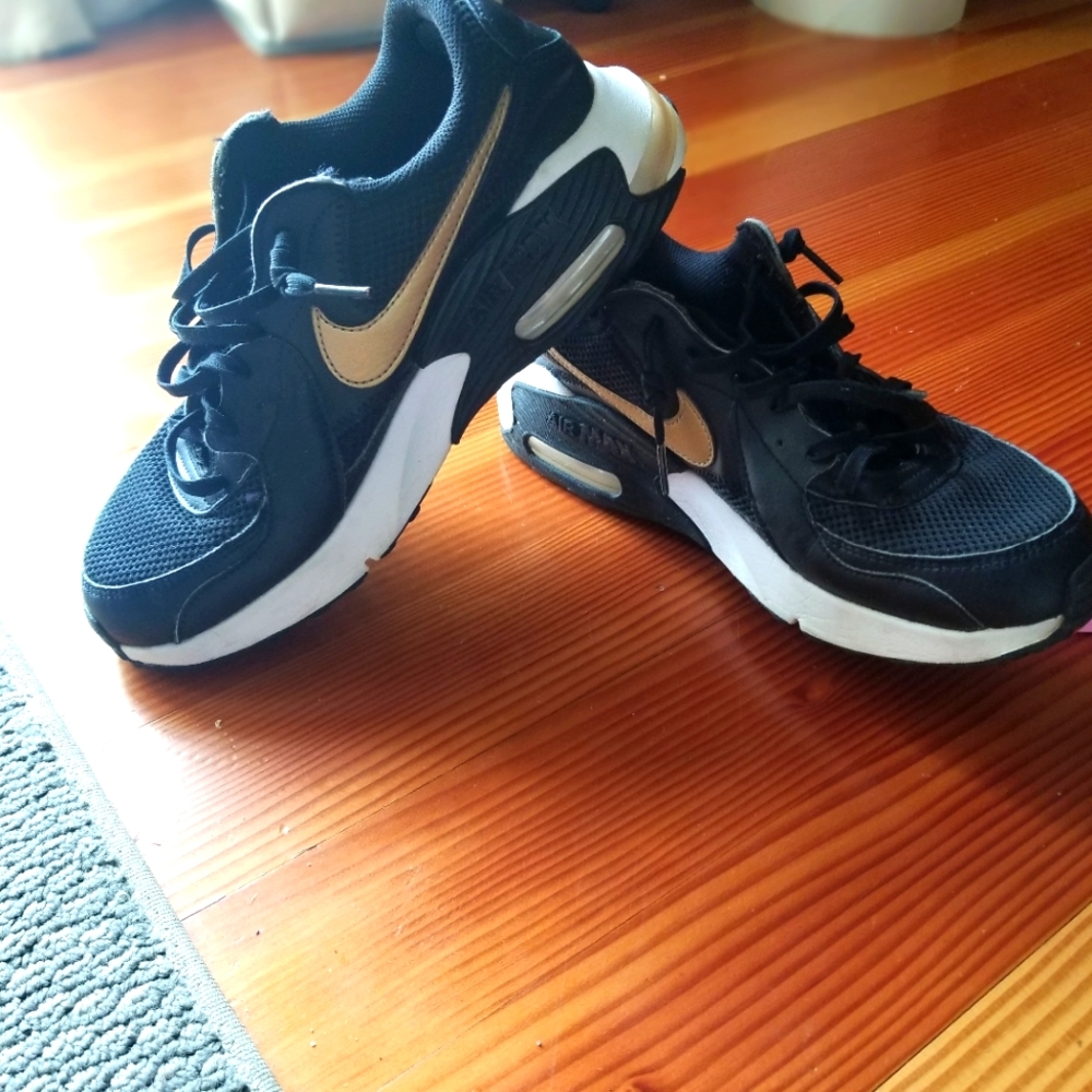 Nike Air Max